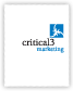 Critical3 At-a-Glance brochure